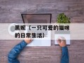 黑妮（一只可爱的猫咪的日常生活）