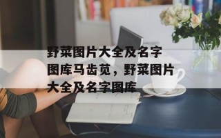 野菜图片大全及名字 图库马齿苋，野菜图片大全及名字图库
