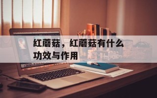 红蘑菇，红蘑菇有什么功效与作用