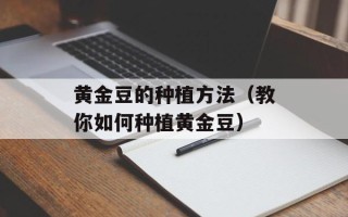 黄金豆的种植方法（教你如何种植黄金豆）