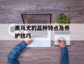 黑马犬的品种特点及养护技巧
