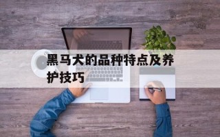 黑马犬的品种特点及养护技巧