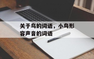 关于鸟的词语，小鸟形容声音的词语