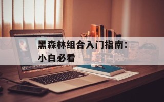 黑森林组合入门指南：小白必看