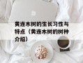 黄连木树的生长习性与特点（黄连木树的树种介绍）