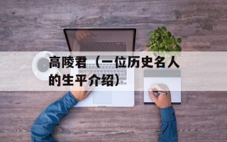 高陵君（一位历史名人的生平介绍）