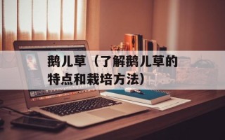 鹅儿草（了解鹅儿草的特点和栽培方法）