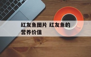 红友鱼图片 红友鱼的营养价值