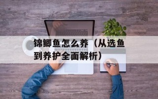 锦鲫鱼怎么养（从选鱼到养护全面解析）