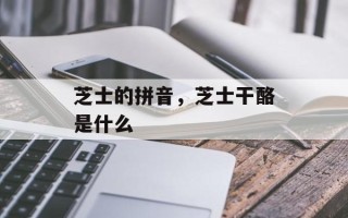 芝士的拼音，芝士干酪是什么