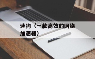 速狗（一款高效的网络加速器）