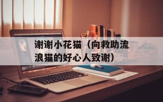 谢谢小花猫（向救助流浪猫的好心人致谢）