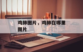 鸡肺图片，鸡肺在哪里图片