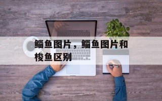 鲻鱼图片，鲻鱼图片和梭鱼区别
