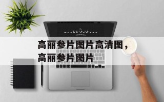 高丽参片图片高清图，高丽参片图片
