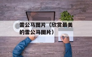 雷公马图片（欣赏最美的雷公马图片）