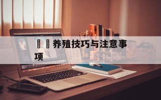 鰟鮍养殖技巧与注意事项