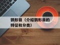 鹦形目（介绍鹦形目的特征和分类）