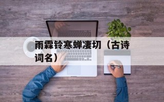 雨霖铃寒蝉凄切（古诗词名）
