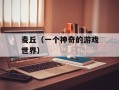麦丘（一个神奇的游戏世界）