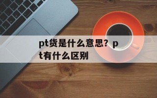 pt货是什么意思？pt有什么区别