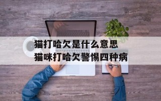 猫打哈欠是什么意思 猫咪打哈欠警惕四种病