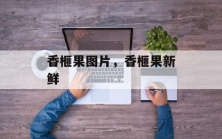 香榧果图片，香榧果新鲜