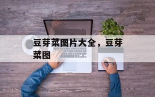 豆芽菜图片大全，豆芽菜图