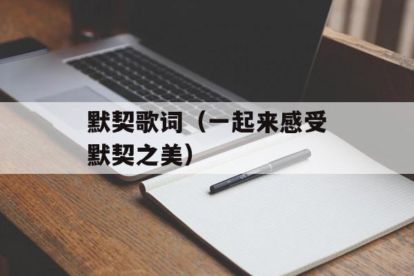 默契歌词（一起来感受默契之美）-第1张图片-