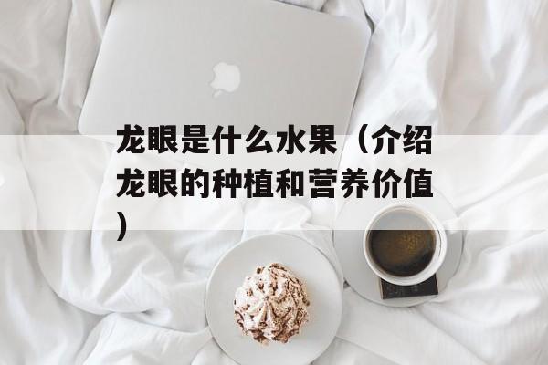 龙眼是什么水果（介绍龙眼的种植和营养价值）-第1张图片-