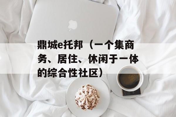 鼎城e托邦（一个集商务、居住、休闲于一体的综合性社区）-第1张图片-