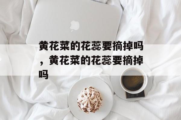 黄花菜的花蕊要摘掉吗，黄花菜的花蕊要摘掉吗-第1张图片-