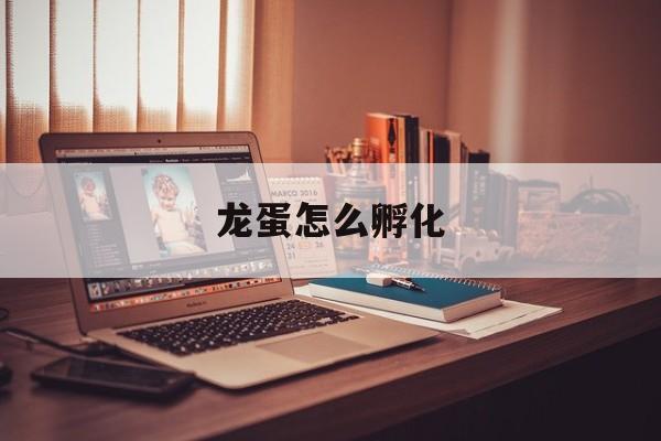 龙蛋怎么孵化-第1张图片-