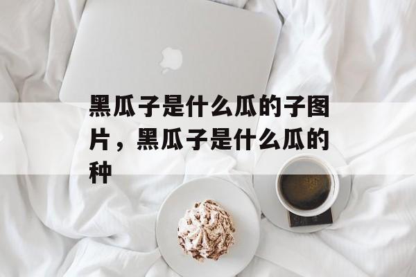 黑瓜子是什么瓜的子图片，黑瓜子是什么瓜的种-第1张图片-