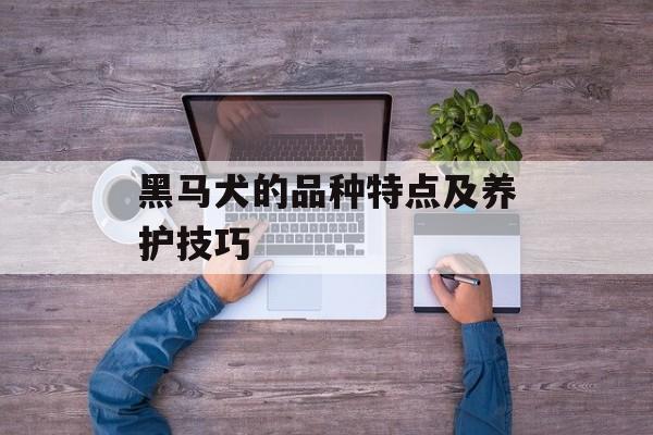 黑马犬的品种特点及养护技巧-第1张图片-