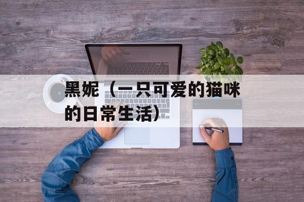 黑妮（一只可爱的猫咪的日常生活）-第1张图片-
