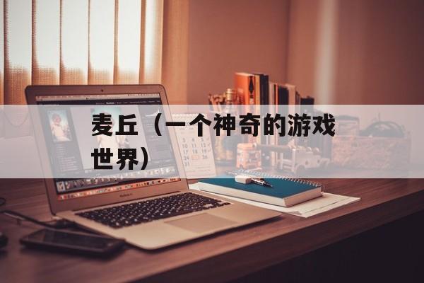 麦丘（一个神奇的游戏世界）-第1张图片-