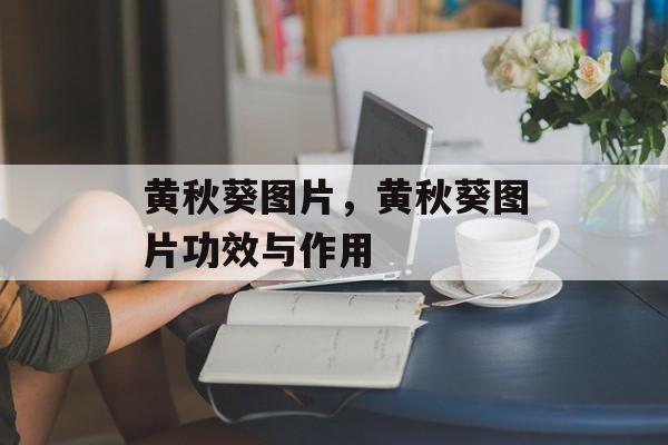 黄秋葵图片，黄秋葵图片功效与作用-第1张图片-