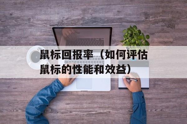 鼠标回报率（如何评估鼠标的性能和效益）-第1张图片-