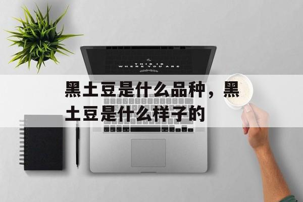 黑土豆是什么品种，黑土豆是什么样子的-第1张图片-