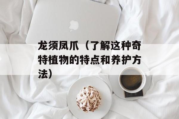 龙须凤爪（了解这种奇特植物的特点和养护方法）-第1张图片-