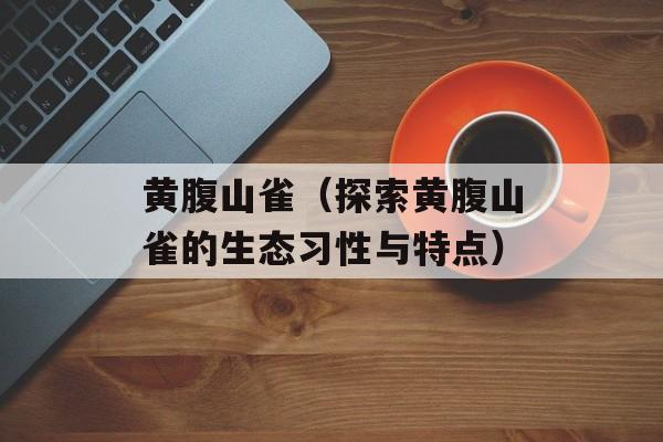 黄腹山雀（探索黄腹山雀的生态习性与特点）-第1张图片-