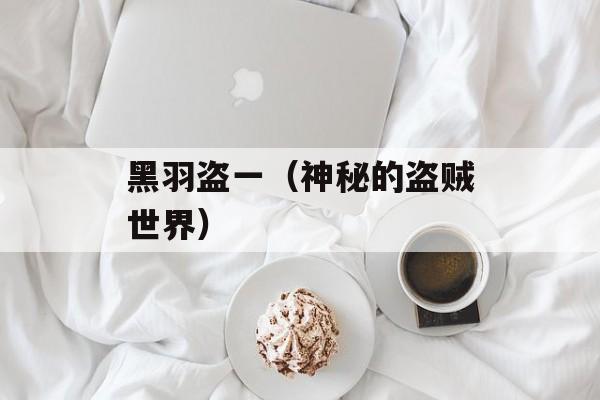 黑羽盗一（神秘的盗贼世界）-第1张图片-