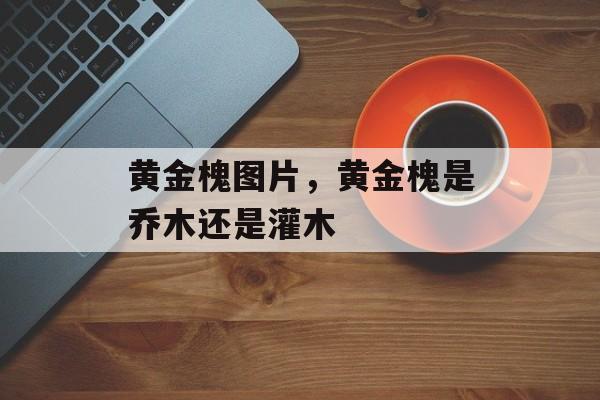 黄金槐图片，黄金槐是乔木还是灌木-第1张图片-