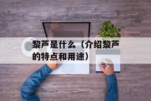 黎芦是什么（介绍黎芦的特点和用途）-第1张图片-