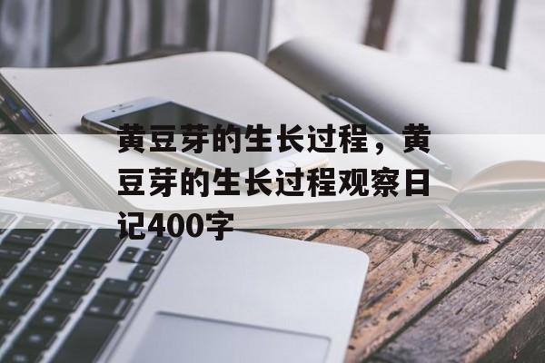 黄豆芽的生长过程，黄豆芽的生长过程观察日记400字-第1张图片-