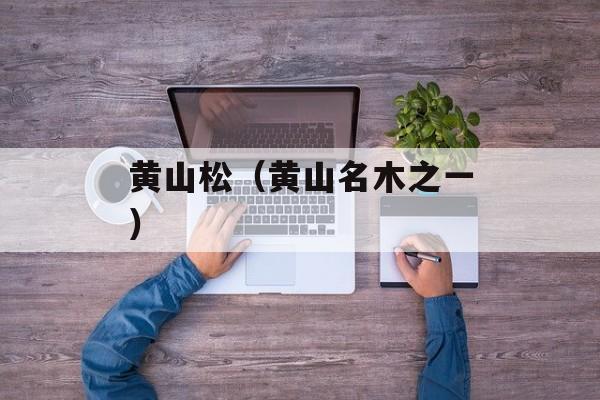 黄山松（黄山名木之一）-第1张图片-