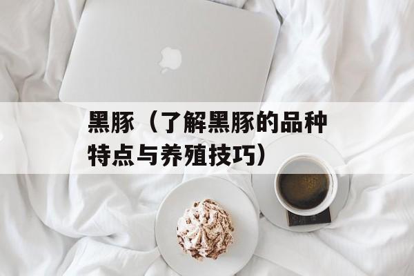 黑豚（了解黑豚的品种特点与养殖技巧）-第1张图片-