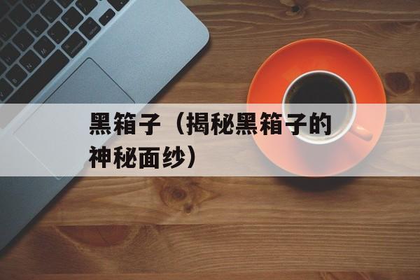 黑箱子（揭秘黑箱子的神秘面纱）-第1张图片-