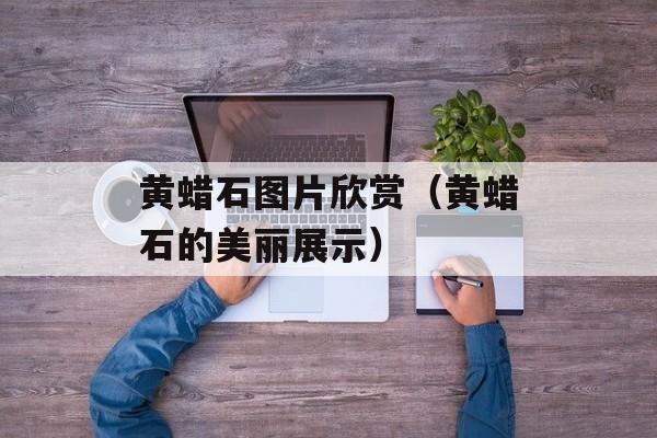 黄蜡石图片欣赏（黄蜡石的美丽展示）-第1张图片-